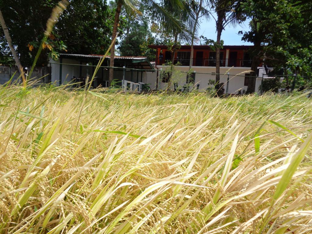 Man Guest Polonnaruwa Hotel Buitenkant foto